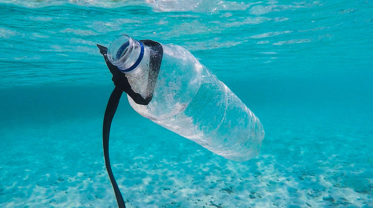 What You Need to Know About Microplastics