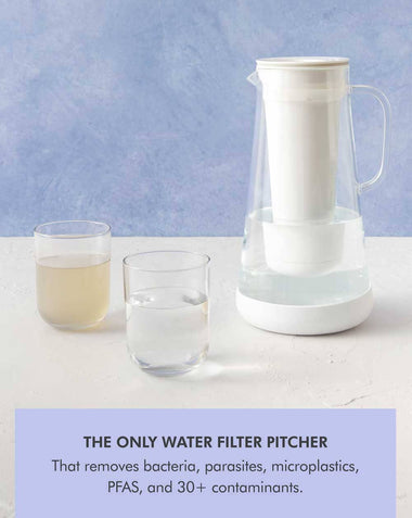 LifeStraw Home 7-Cup Glass Home LifeStraw - Online store